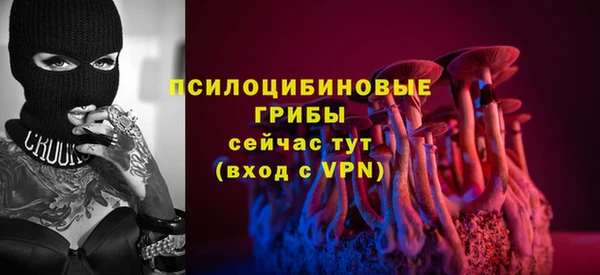 эйфоретик Новозыбков