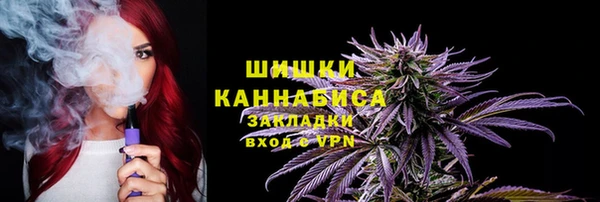гашик Арсеньев