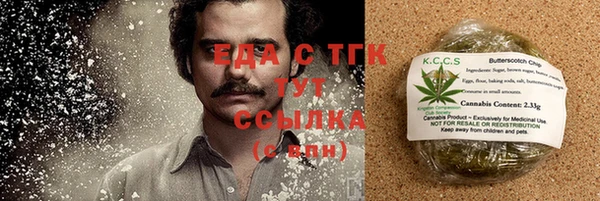 гашик Арсеньев