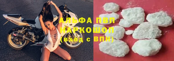 гашик Арсеньев