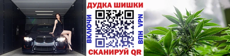 Бошки марихуана планчик  купить наркотик  Пучеж 